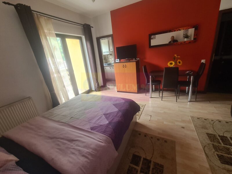 Garsoniera de inchiriat in Sinaia